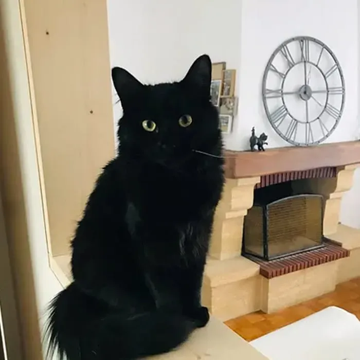 Kheops